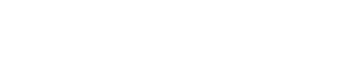 logo global insinght software